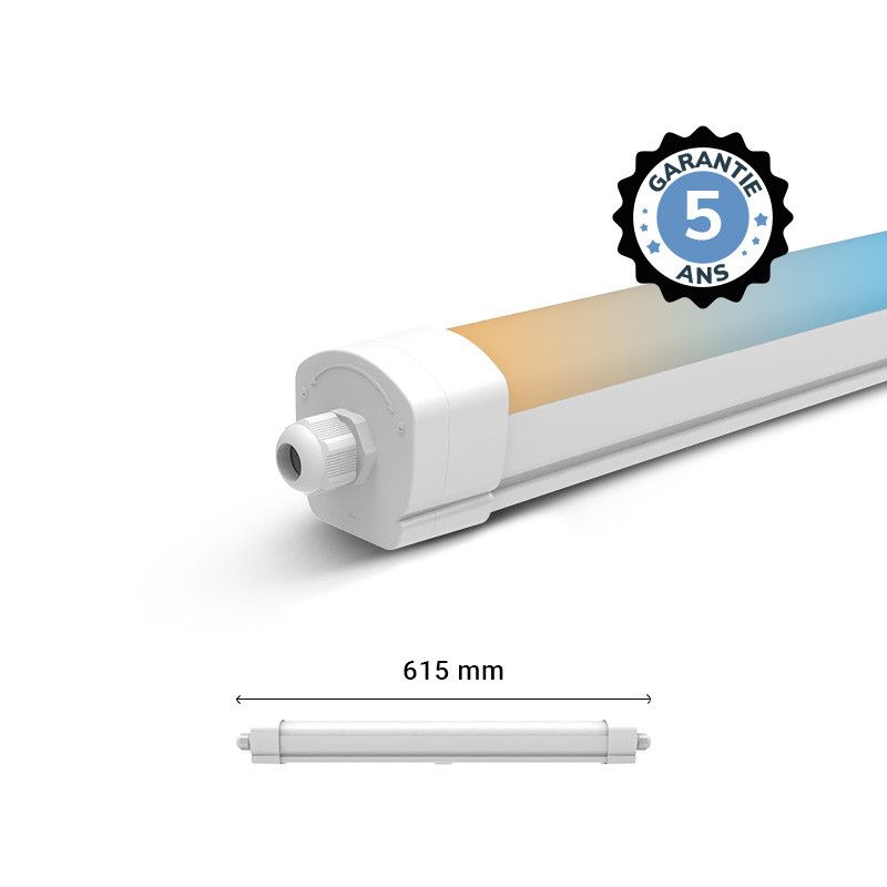 Miidex Étanche LED Intégrées CCT 15W 615 x 66 x 63 mm Traversant -