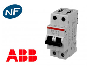 Disjoncteur modulaire ABB 20A 2P S202-C20