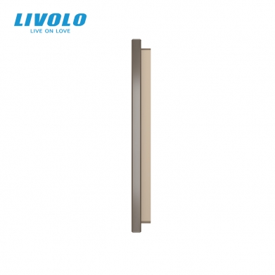 LIVOLO PLAQUE EN VERRE 1 + 1 BOUTONS GRIS