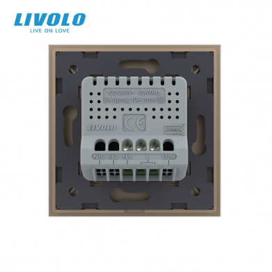 LIVOLO PLAQUE EN VERRE 1 BOUTON CHAMPAGNE