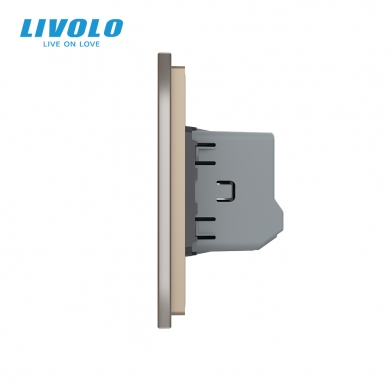 LIVOLO PLAQUE EN VERRE 2 BOUTONS CHAMPAGNE
