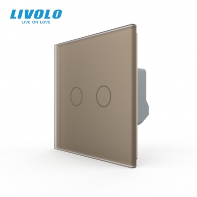 LIVOLO PLAQUE EN VERRE 2 BOUTONS GRISE