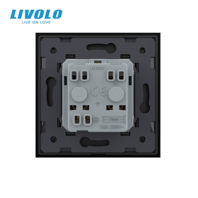 LIVOLO PLAQUE EN VERRE POUR DEUX PRISES NOIRE