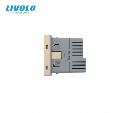 LIVOLO PRISE 1 USB-A USB-C 36W CHAMPAGNE