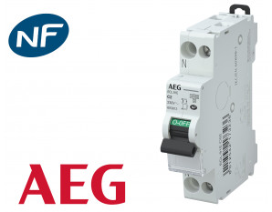 Disjoncteur modulaire phase neutre 10A 4.5kA à vis AEG