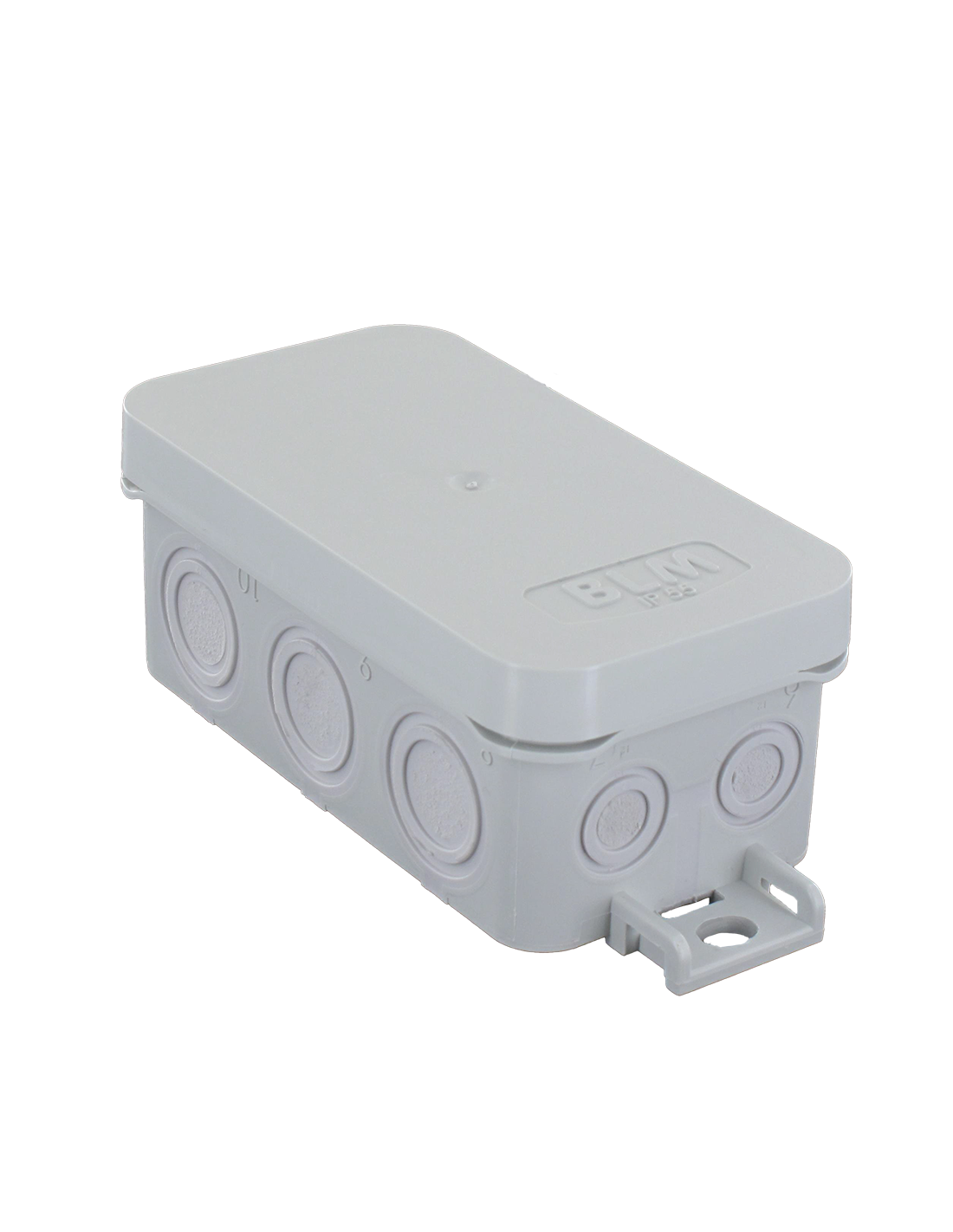 BLM Boîtier Mini OPTIBOX IP55 90x40x36 mm