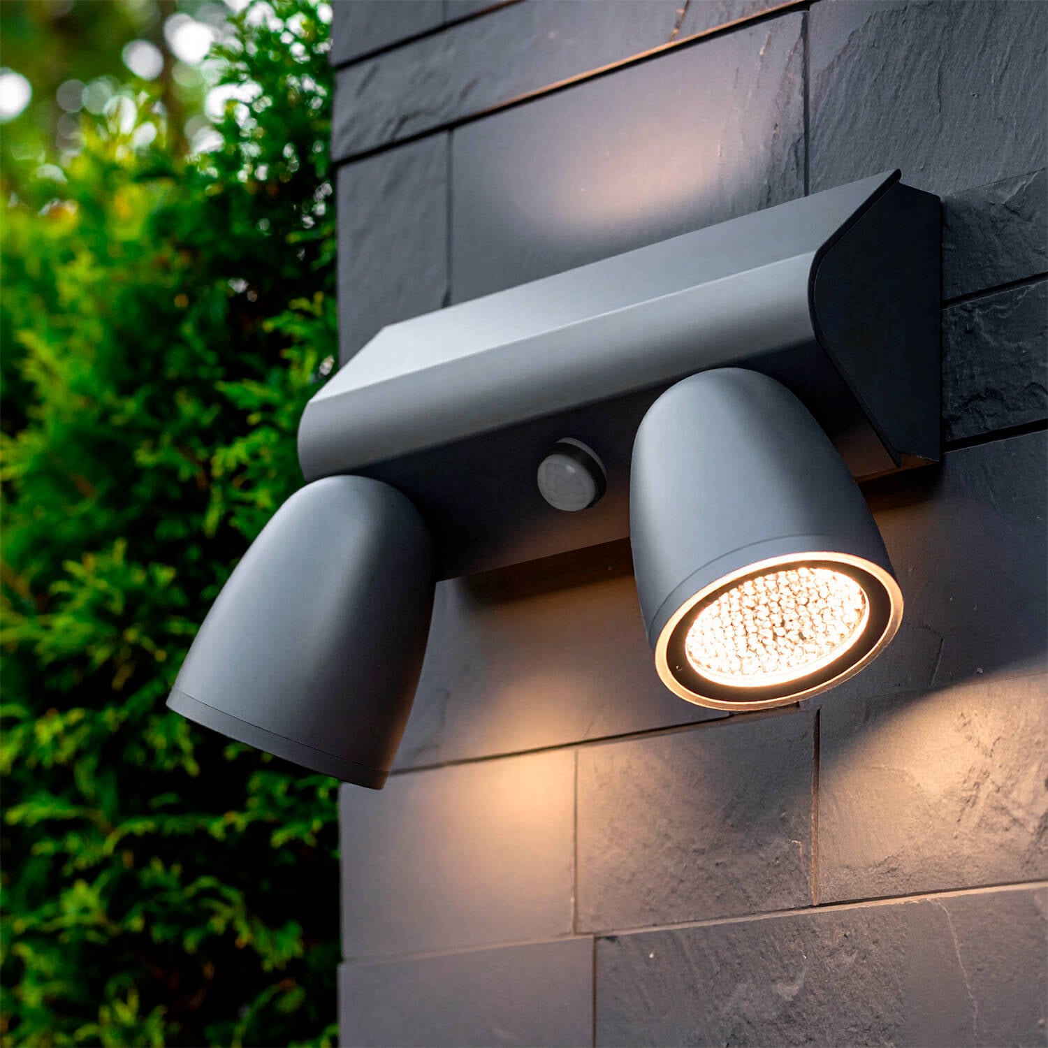 Applique Murale Extérieure LED Noir 3000K 12W Aluminium avec Détecteur Deux Spots