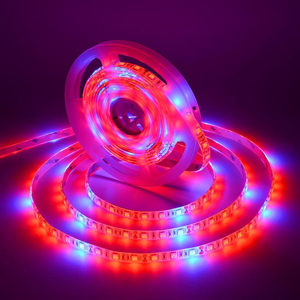 LED STRIP LIGHT GROWIND LED FULL SPECTRUM 5 M DC12V 120° 6000LM 72W/ROLL