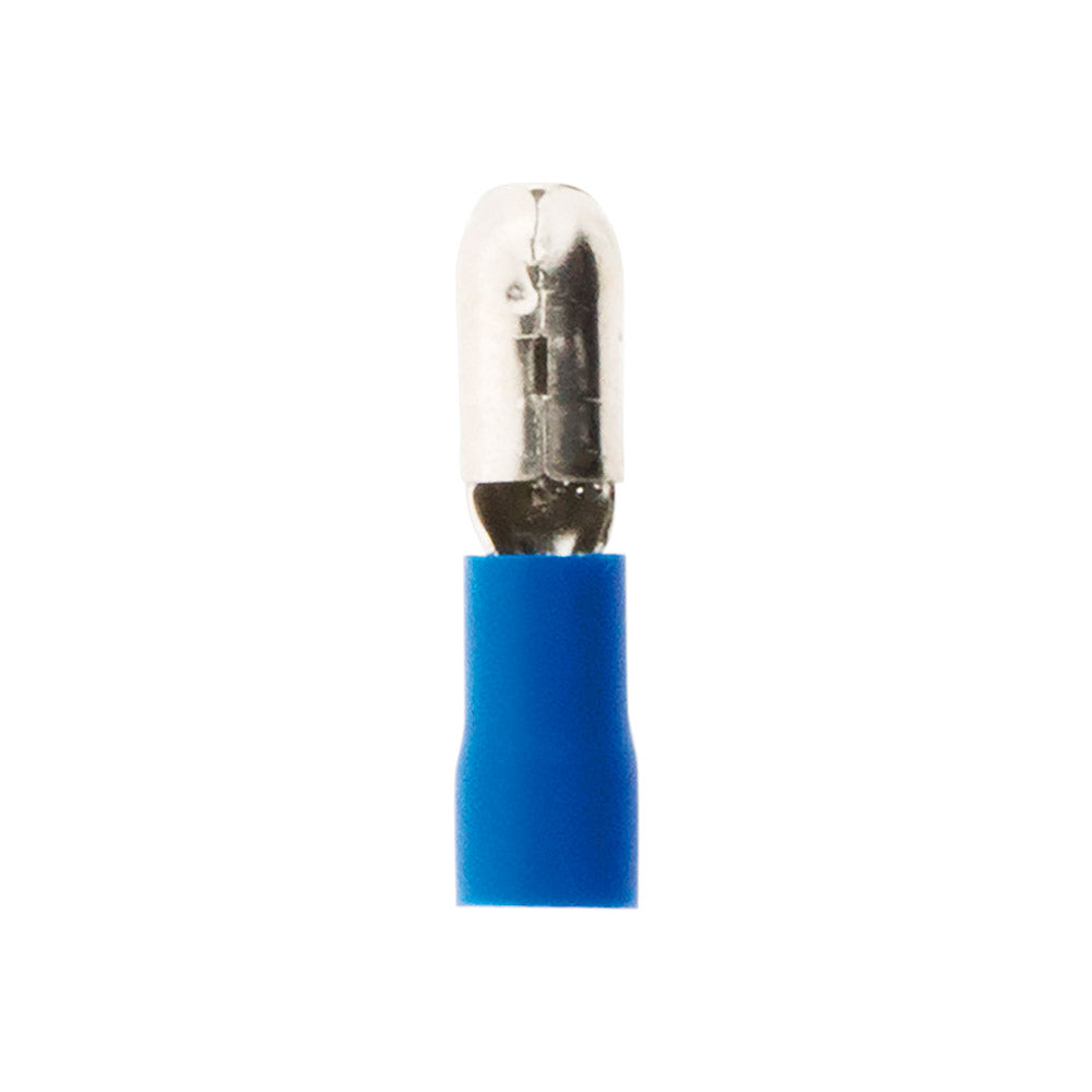 10 fiches males bleues