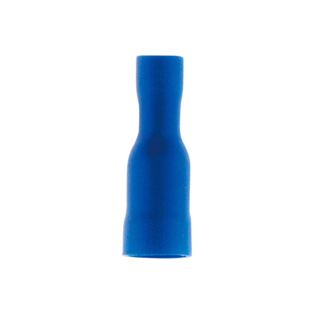 10 fiches femelles bleues