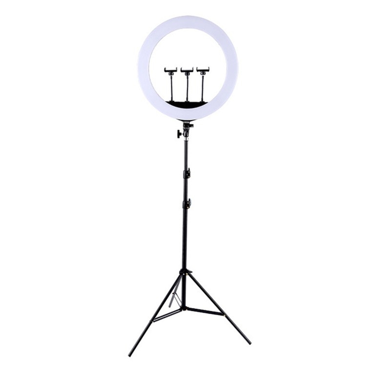 RING LIGHT DIAM 33.5CM + SUPPORT