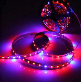 Ruban LED 830 LED/M 5M RGB-CCT 24V IP67