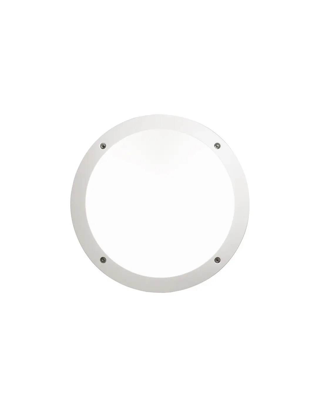 FUMAGALLI LUCIA BACKLIT BLUE WHITE