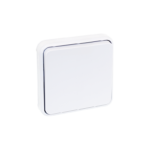 EUR'OHM OXXO BP BLANC ENCASTRE IP55