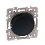 SQUARE OBTURATEUR ANTHRA