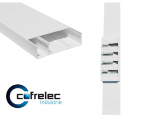 Gaine Technique de Logement Cofrelec 2550 x 250 x 65mm